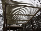 img0005cp